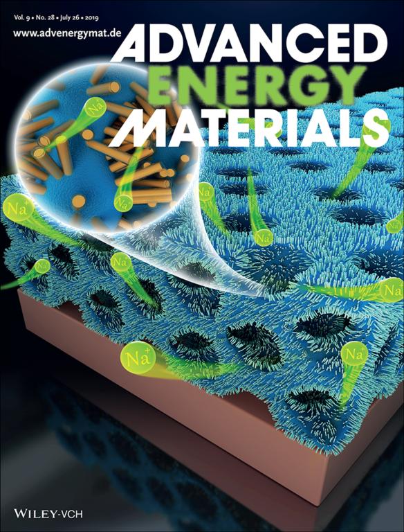 长安大学材料学院樊小勇教授科研成果荣登《Advanced Energy Materials》封面